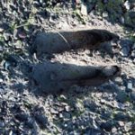 IMG-20190223-WA0000