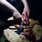 IMG-20191123-WA0007