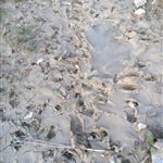 IMG_20170324_182614