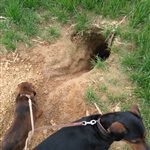 IMG_20180424_183005