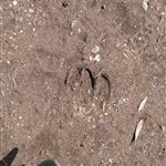 IMG_20180427_095749