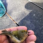 IMG_20191021_120718