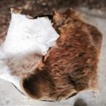 IMG_20200216_164138