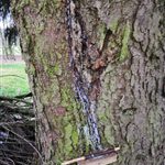 IMG_20200216_164849
