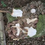 IMG_20200216_170212