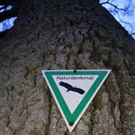 IMG_20200216_173222