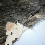 IMG_20200216_183027