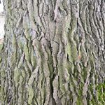 IMG_20200217_095416