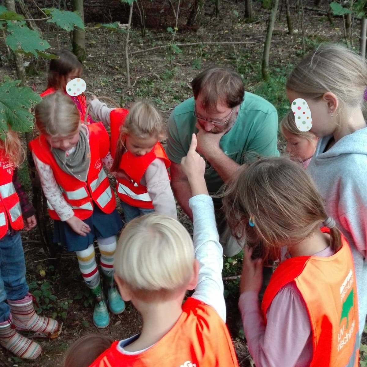 You are currently viewing Waldwoche im Kindergarten Entrup mit der Rollenden Waldschule (KJS Lippe)